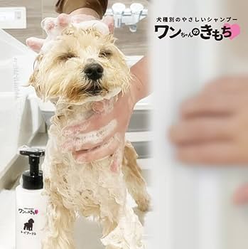 Amazon | 犬種別 泡で出る シャンプー ワンちゃんのきもち